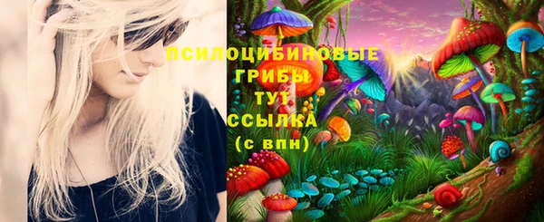 ПСИЛОЦИБИНОВЫЕ ГРИБЫ Алзамай