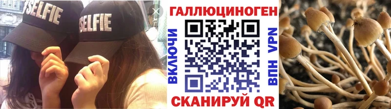 Псилоцибиновые грибы MAGIC MUSHROOMS  Купить закладки  Малгобек 