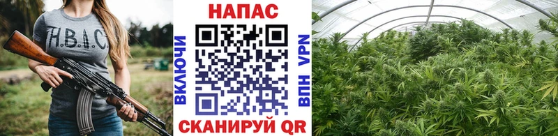 Купить  Малгобек  Марихуана индика 
